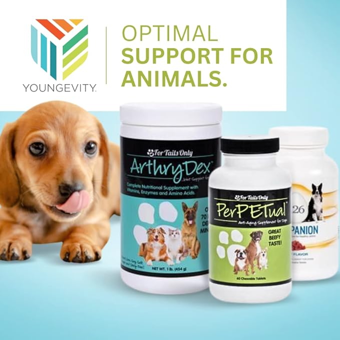 Youngevity Arthrydex Complete Nutritional Supplement | Vitamins Probiotics Enzymes | Pets Healthy Bones & Joints -1 lb Canister (Pack of 4)