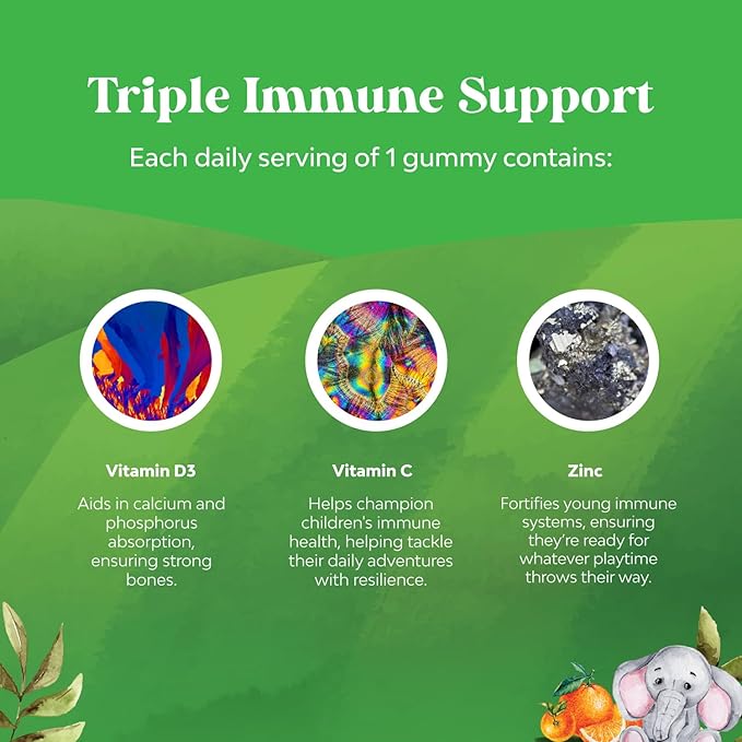 Organic Kids Immune Support Gummies - Vegan Organic Vitamin D Gummies for Kids with Vitamin C and Zinc for Kids Immunity - D3 Zinc and Vitamin C Gummies for Kids - Gluten Free & Non GMO (120 Servings)
