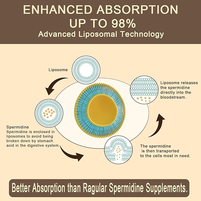 Spermidine Supplement 15 MG - 99% Purity, High Absorption, 1500 mg Fermented Wheat Germ Extract with Zinc & Thiamin, Spermidine for Men & Women - Cellular Renewal, Aging Defense, Energy, 240 Softgels