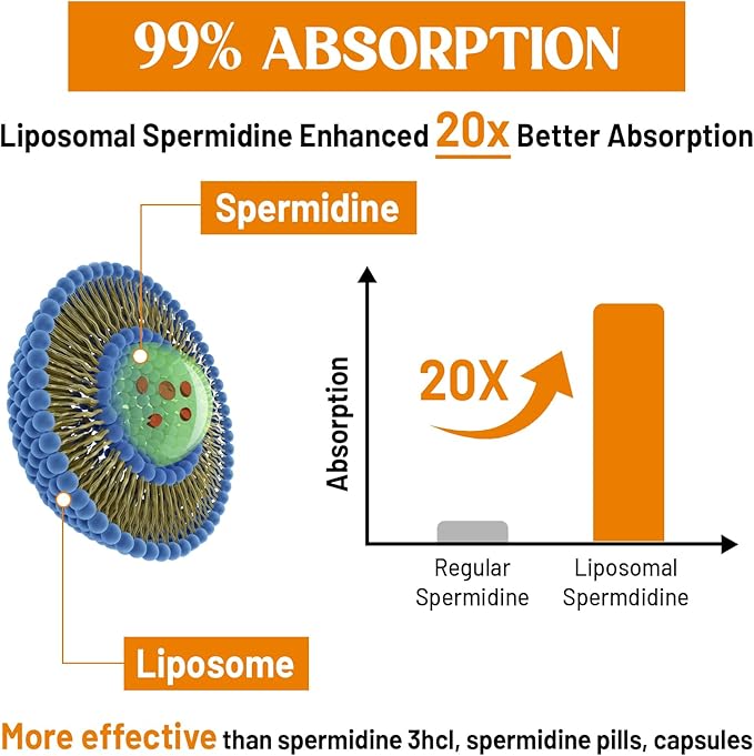 30mg Spermidine Supplement, Liposomal Spermidine, High Absorption, More Potent Than Spermidine 3HCL, Fermented Wheat Germ Extract, Spermidine for Women & Men, Cellular Renewal, Longevity, 240 Softgels