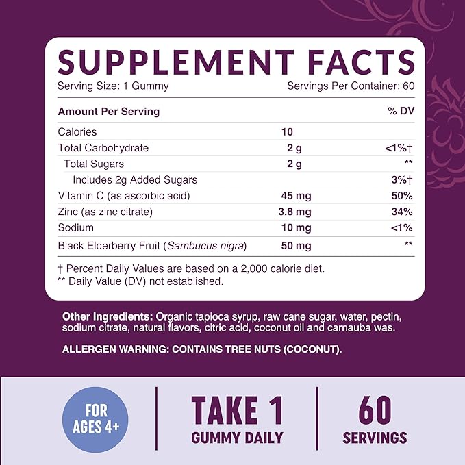 Elderberry Gummies for Kids | 3-In-1 Healthy Immune Support With Vitamin C & Zinc | For Ages 4+ | Designed for Ultimate Health & Wellness | Gluten-Free, Non-GMO, Natural Flavors | 60 Gummies