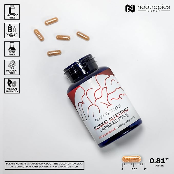 Nootropics Depot Tongkat Ali Extract Capsules | 200mg | 120 Count | 2% Eurycomanone by HPTLC | Eurycoma longifolia Root Extract
