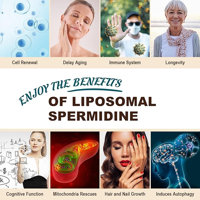 Spermidine Supplement 15 MG - 99% Purity, High Absorption, 1500 mg Fermented Wheat Germ Extract with Zinc & Thiamin, Spermidine for Men & Women - Cellular Renewal, Aging Defense, Energy, 240 Softgels