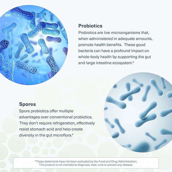 Youtheory Spore Probiotic Powder - Vegan Gut Health Supplement for Men & Women* - 6 Billion CFU - Dairy, Soy & Gluten Free - 3.45 oz