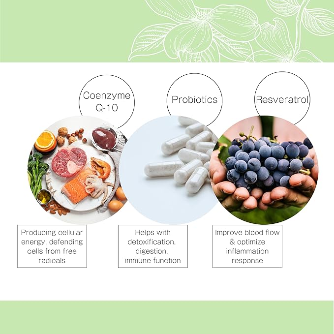 Axion | 60 Tablets | Multivitamin for Women and Men | Vitamins, Minerals, Probiotic, and Digestive Enzymes | Vitamin B12, Vitamin C, Vitamin D, Vitamin E, Magnesium, Zinc, Biotin, and More