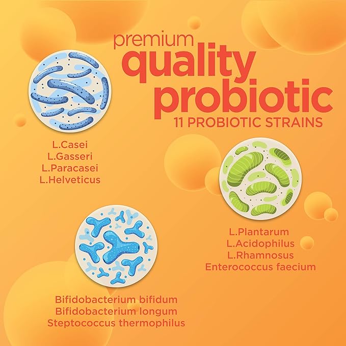 Chewable Probiotic for Men & Women, Slows Down Digestive Aging, Boosts Immune System, Non-GMO, Gluten Free & Soy Free, 5 Billion CFU, 30 Chewable Tablets, Orange Flavor