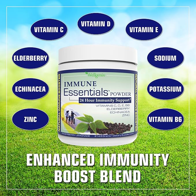 Wellgenix Immune Essentials - Multivitamin Powder for Men, Women & Kids - Vegan Supplement with Vitamins C, D Elderberry Zinc, Echinacea for Toddler, Kid & Adult - 7.57g (Raspberry Lemonade)