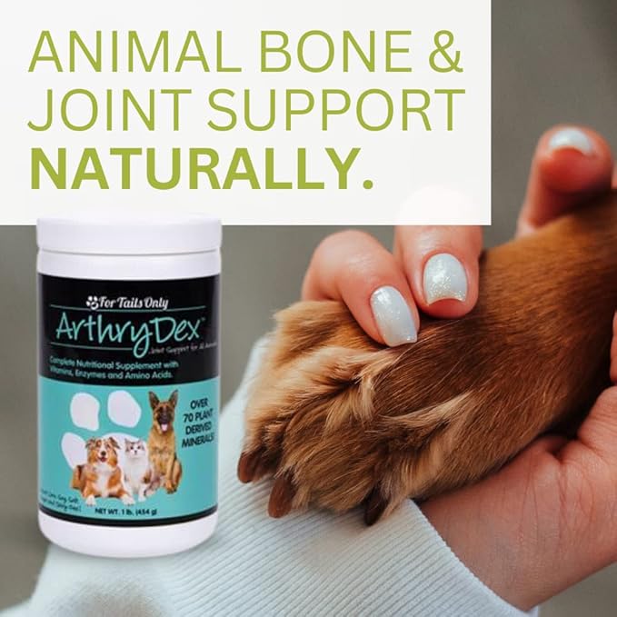 Youngevity Arthrydex Complete Nutritional Supplement | Vitamins Probiotics Enzymes | Pets Healthy Bones & Joints -1 lb Canister (Pack of 4)