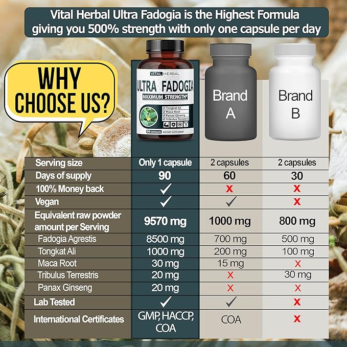 Ultra Fadogia Agrestis 10:1 Extract with Tongkat Ali Capsules - Equivalent to 9570 mg - Maximum Strength with Ginseng Maca Root Tribulus - Boost Energy Muscle Buider (90 Count (Pack of 1))